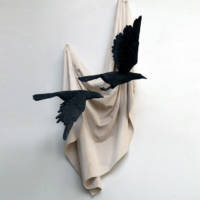 tuch mit raben