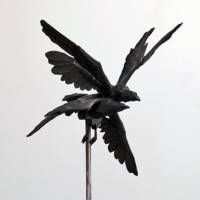 rabenflug no.1