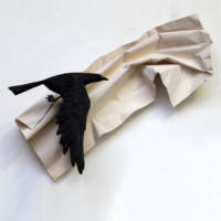rabe mit papier
